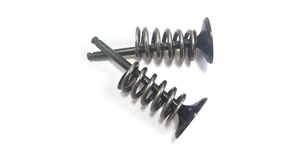 Soupapes - Kits de conversion en acier