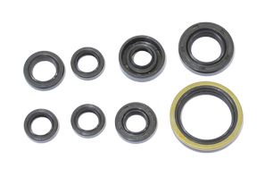 Kit de joints moteur NRTeam Gasgas 300 EC-F (13-15) GK7022OS